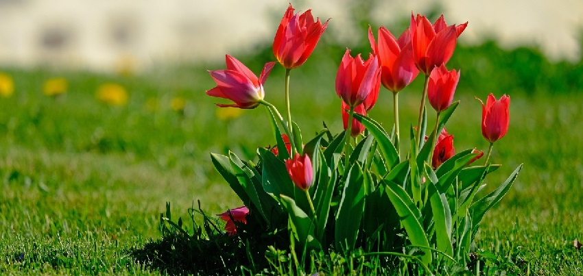 13. hét - itt a tavasz, hirdessétek